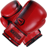 Adult Boxing Gloves